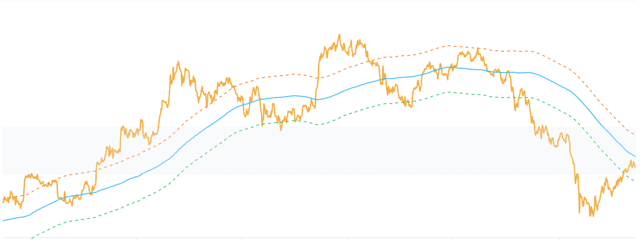 Bitcoin vs Gold Ratio