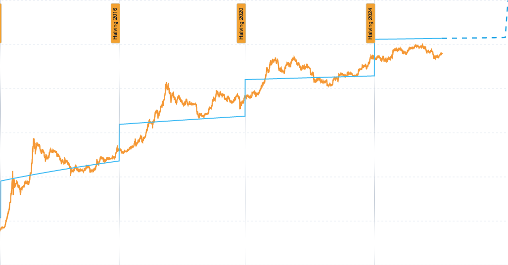 Bitcoin Stock-to-Flow Model